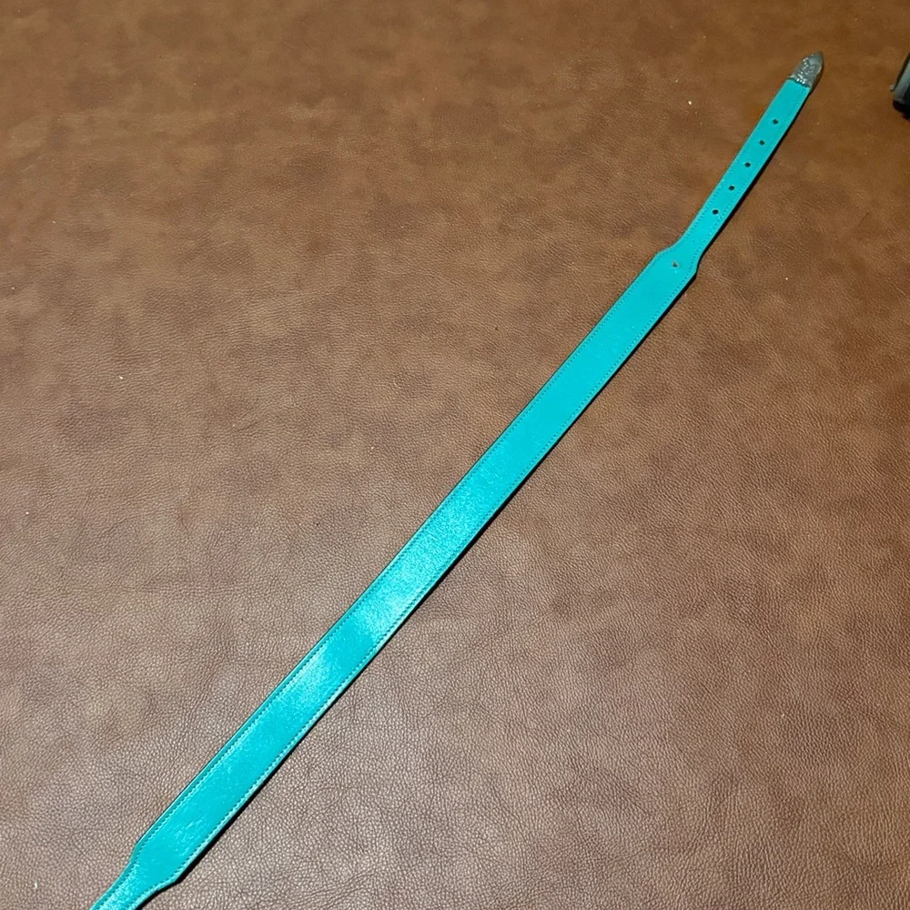 Teal youth belt